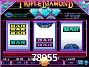 Descubra a Magia dos Jogos de Arcade no 78955