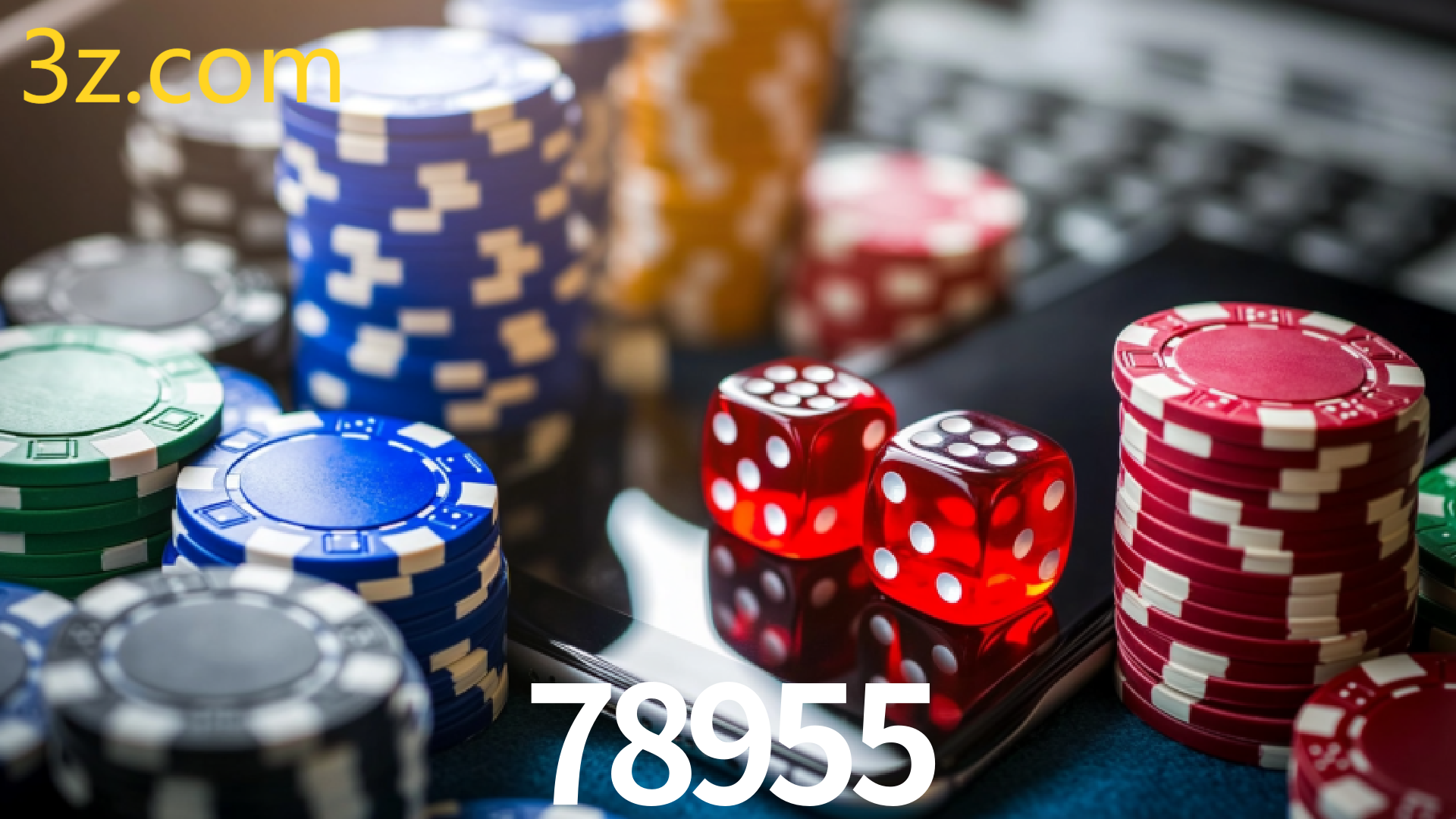 78955.COM