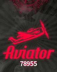 78955.COM