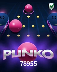 78955.COM