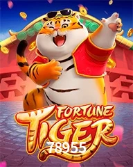 78955.COM