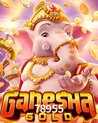 78955.COM